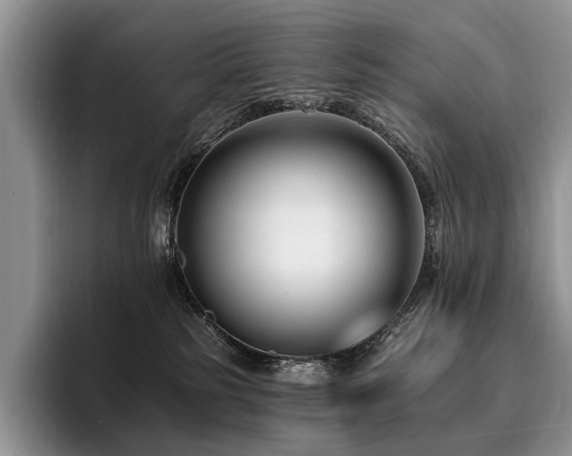 X0000096130185200801181120