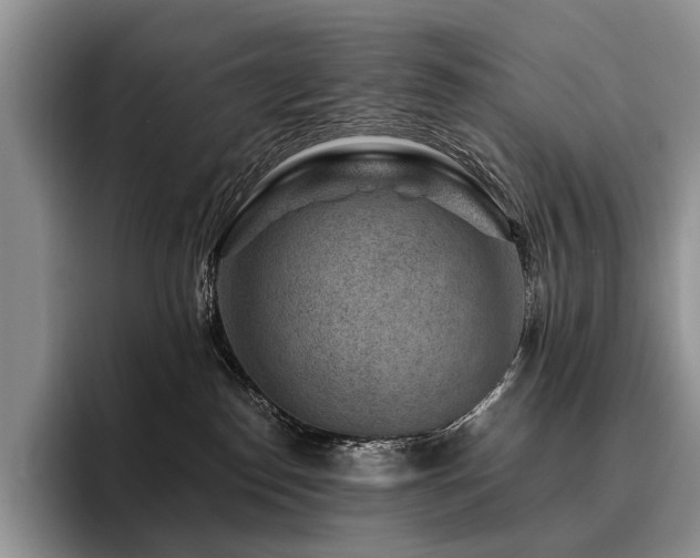 X0000096130186200801181120