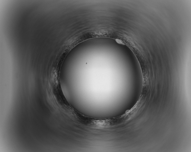 X0000096130187200801181120