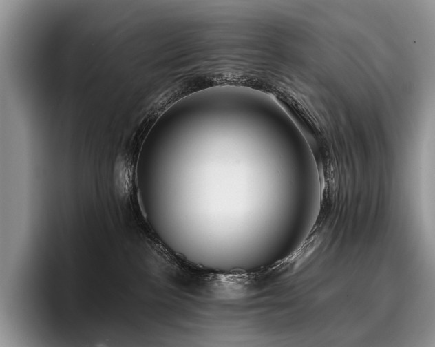 X0000096130188200801181120