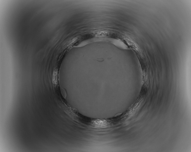 X0000096130189200801181120