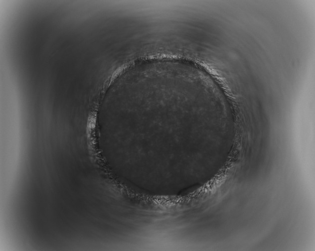 X0000096130192200801181120