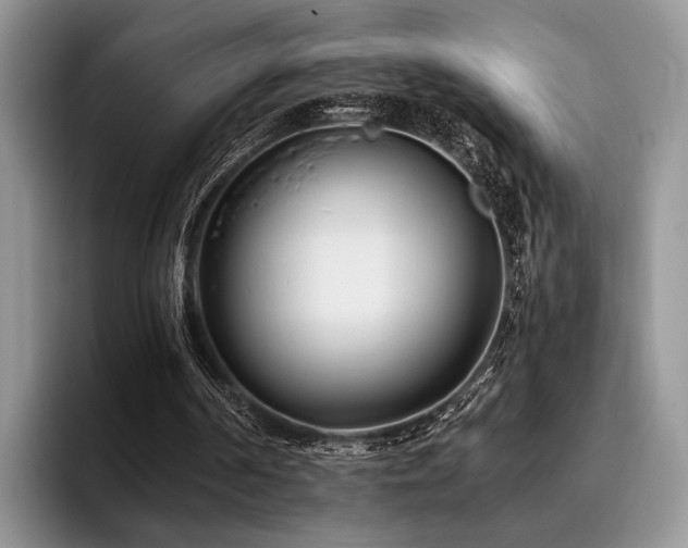 X0000096130194200801181119