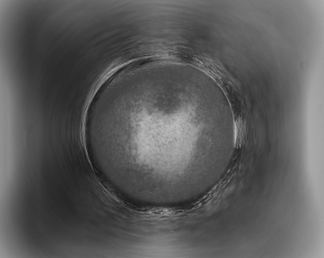X0000096130195200801181119