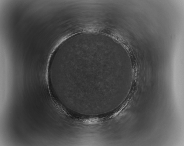 X0000096130196200801181119