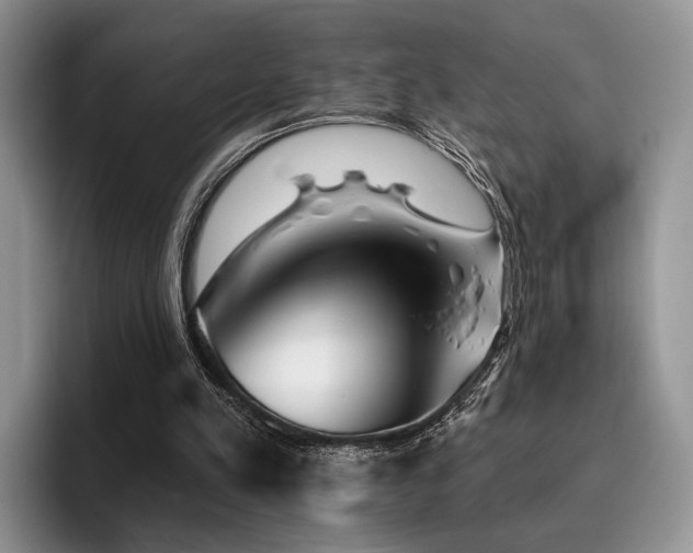 X0000096130197200801181119