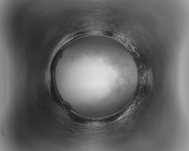 X0000096130198200801181119
