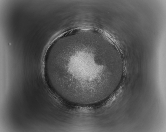 X0000096130199200801181119