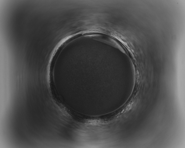 X0000096130200200801181119