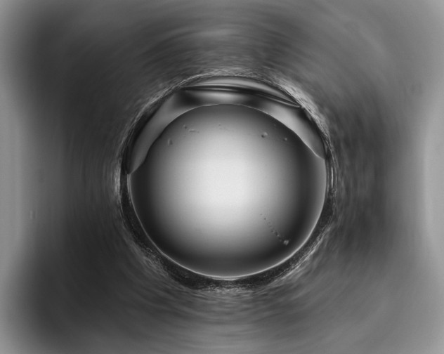 X0000096130201200801181119