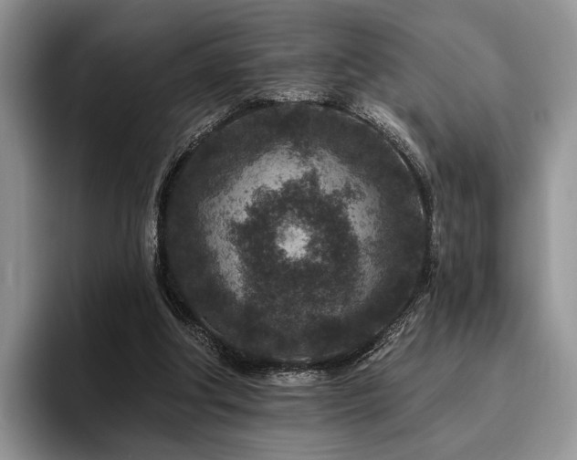X0000096130202200801181119