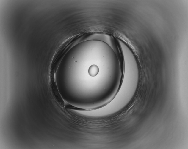 X0000096130203200801181119