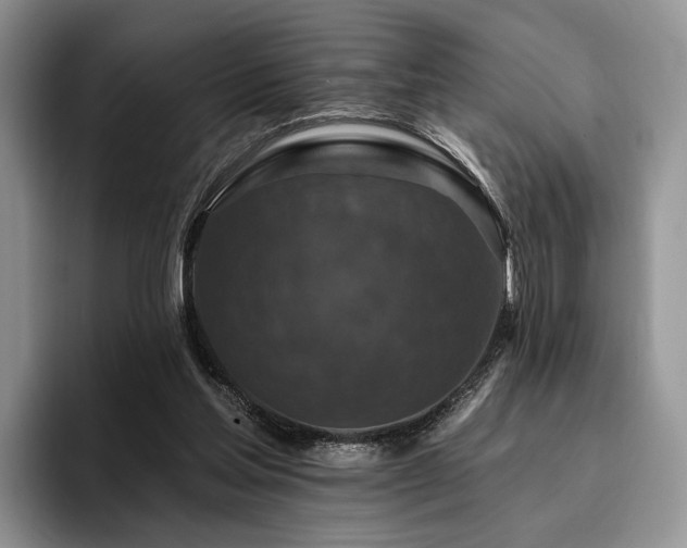X0000096130205200801181119