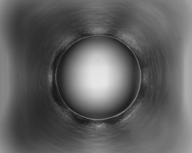 X0000096130206200801181119