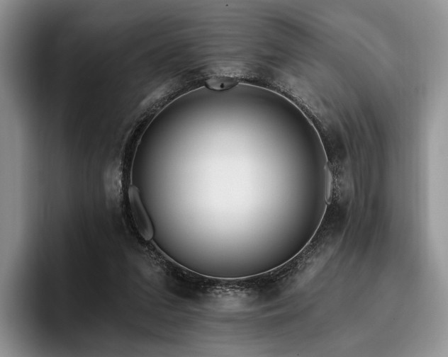 X0000096130207200801181119