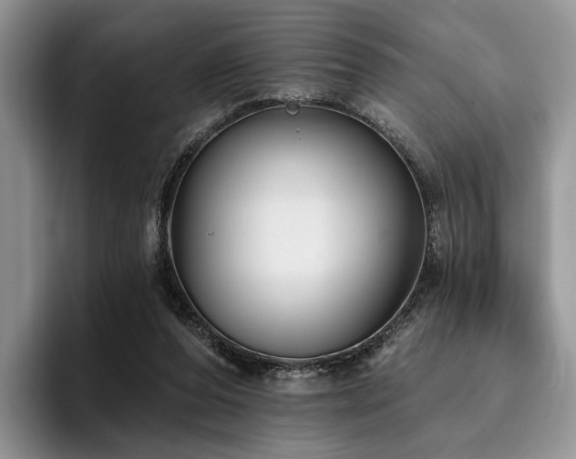 X0000096130208200801181119