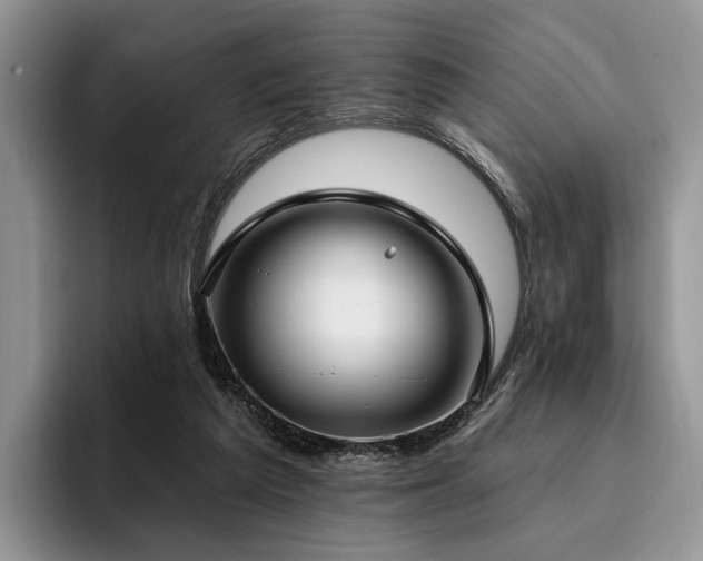 X0000096130209200801181119