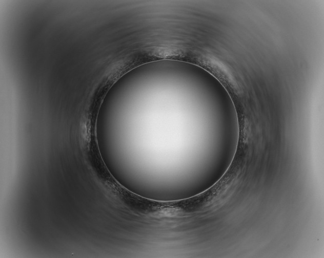 X0000096130210200801181119