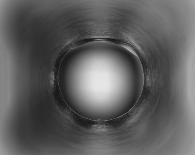X0000096130211200801181119