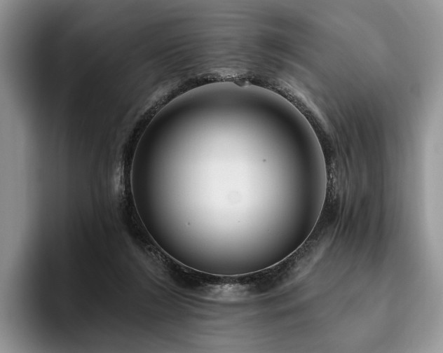 X0000096130212200801181119