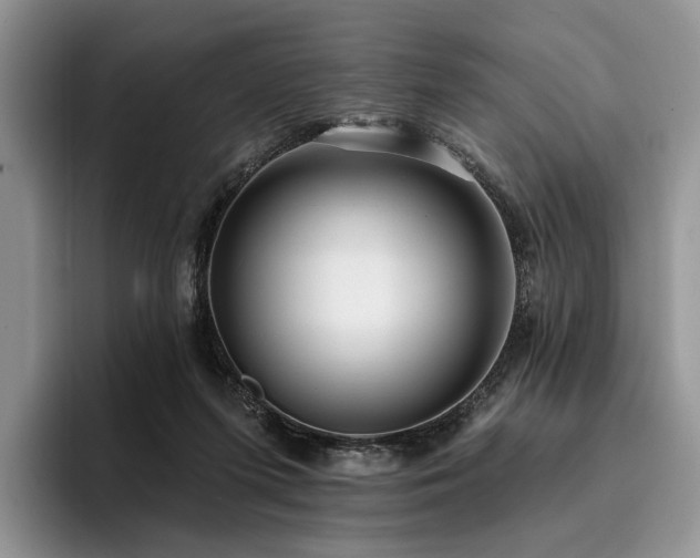 X0000096130215200801181119