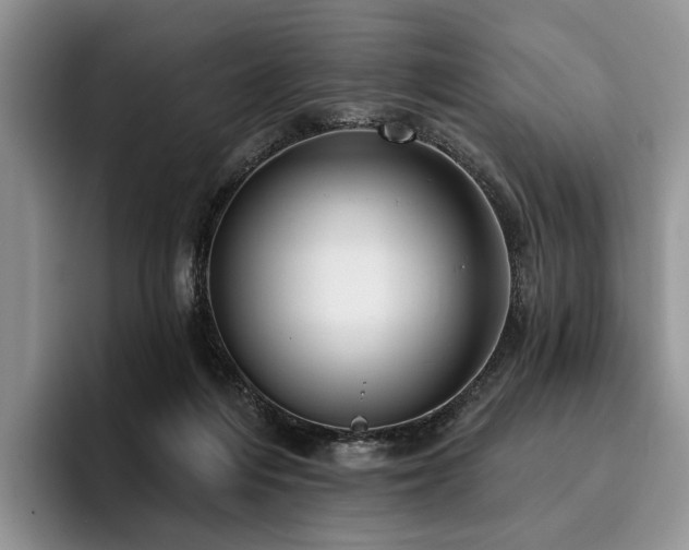 X0000096130216200801181119