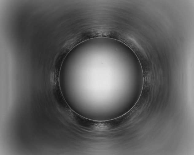 X0000096130218200801181119