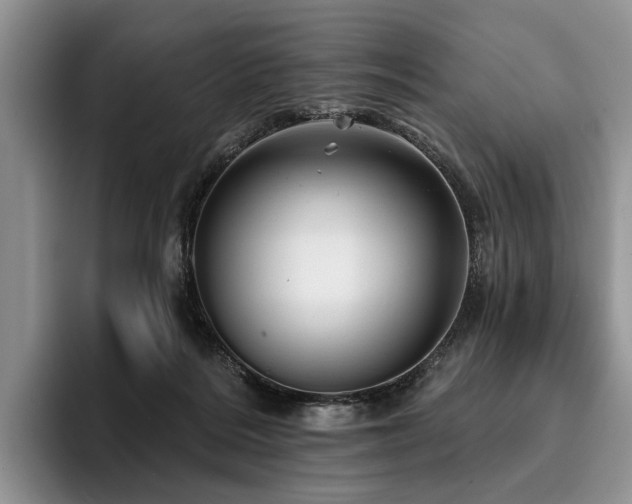 X0000096130220200801181119