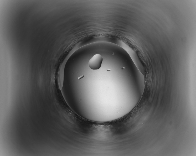 X0000096130221200801181119