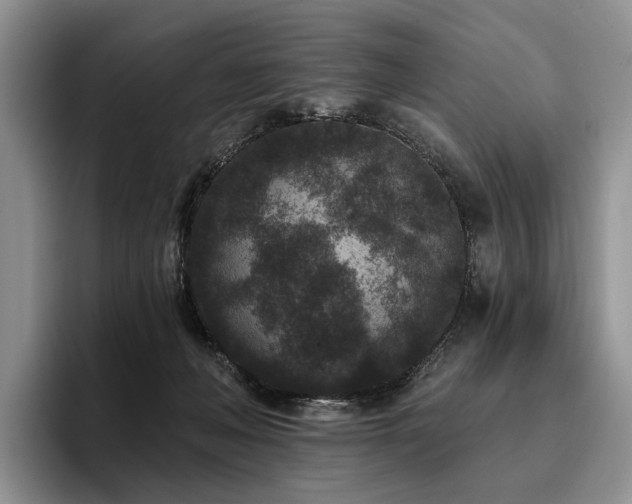 X0000096130222200801181119