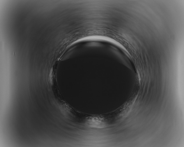 X0000096130223200801181119