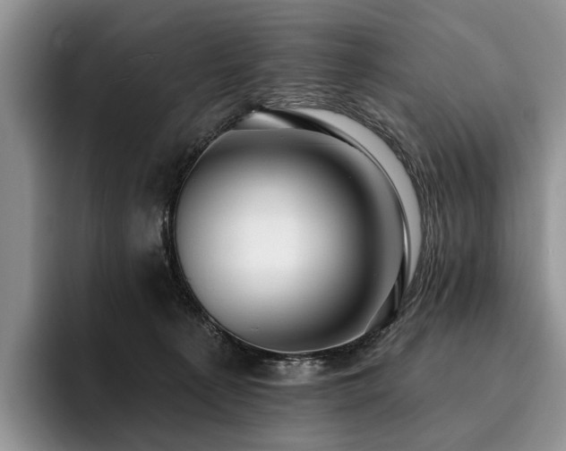 X0000096130225200801181119
