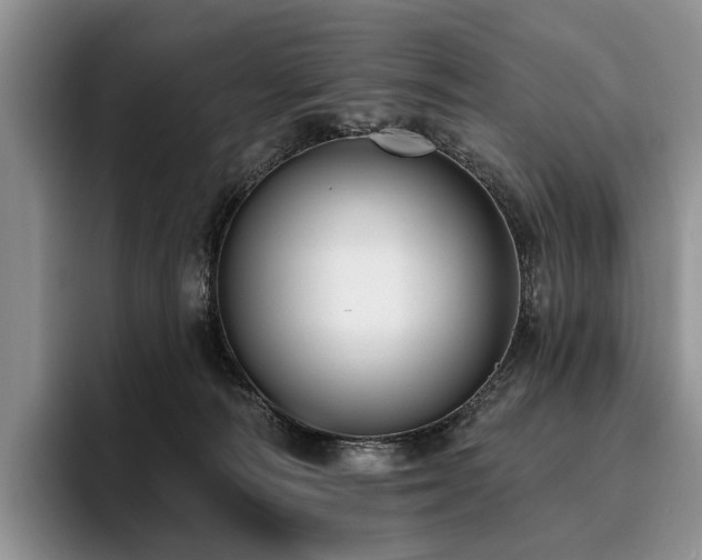 X0000096130226200801181119