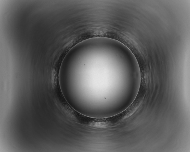 X0000096130228200801181119