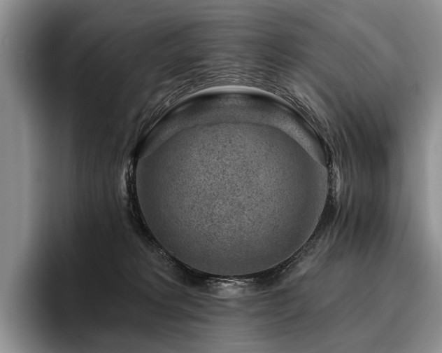 X0000096130229200801181119