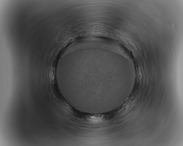 X0000096130232200801181119
