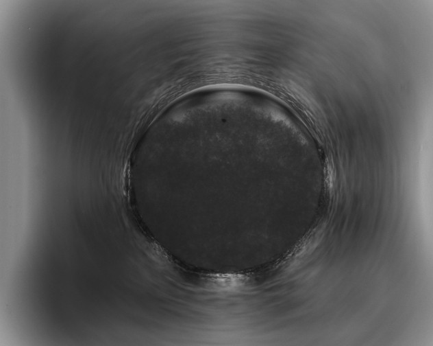 X0000096130233200801181119