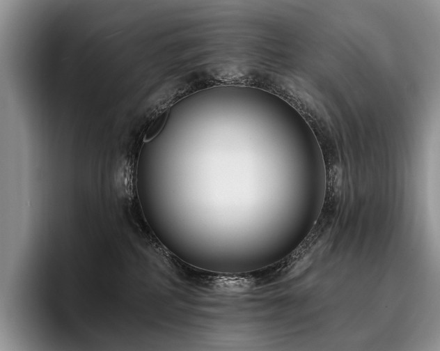 X0000096130234200801181119