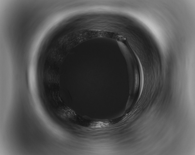 X0000096130239200801181119