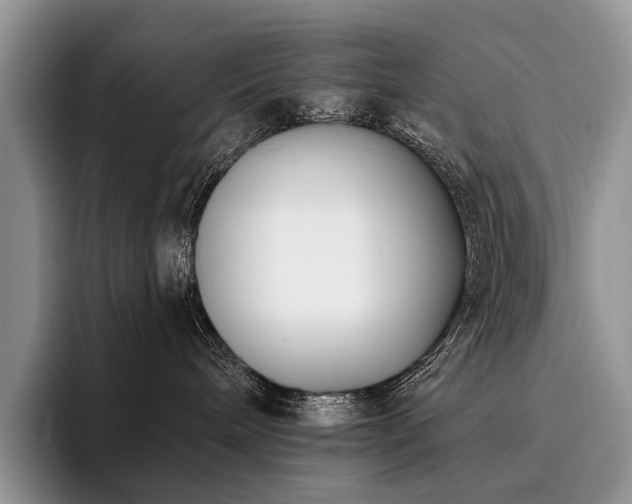 X0000096130240200801181119