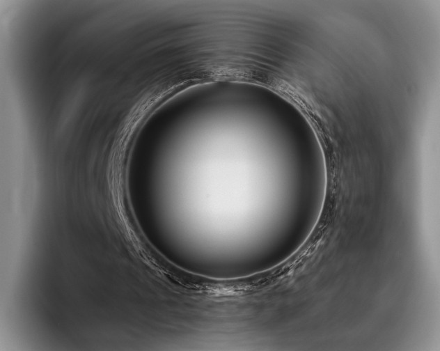 X0000096130241200801181118