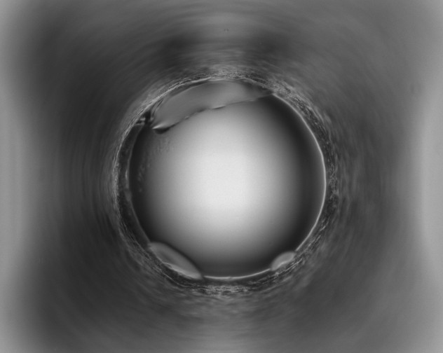 X0000096130242200801181118
