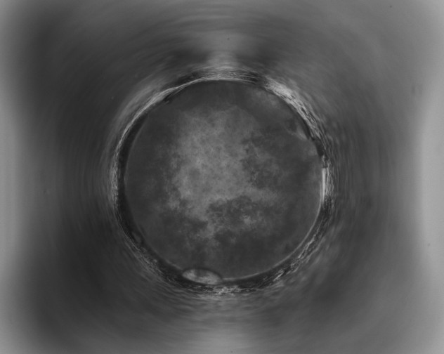 X0000096130243200801181118