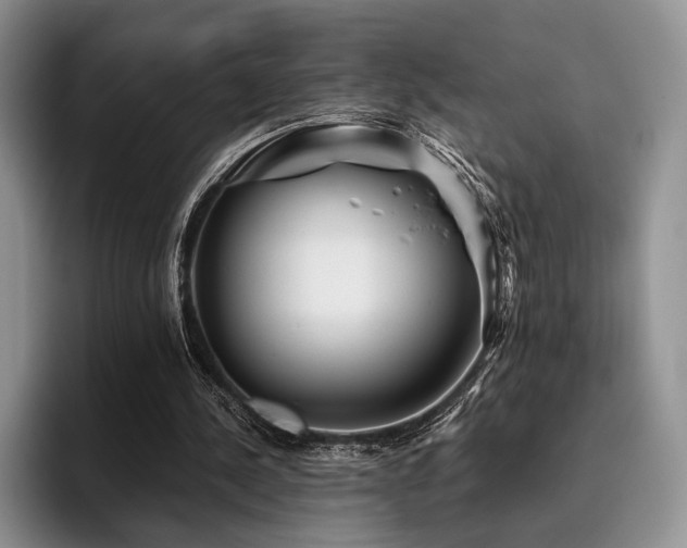 X0000096130244200801181118