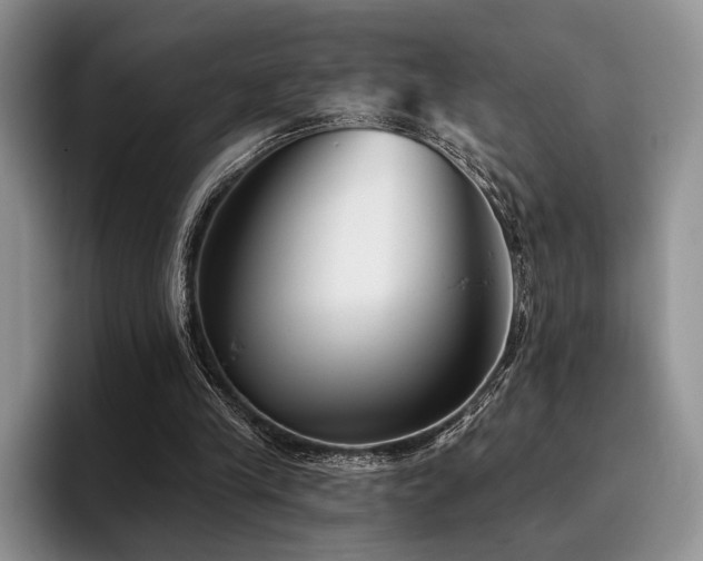 X0000096130245200801181118