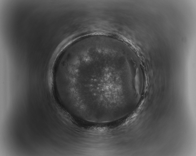 X0000096130247200801181118