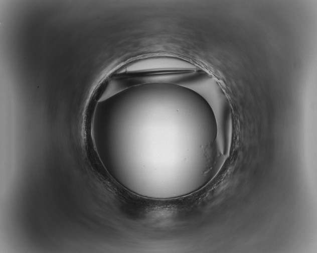 X0000096130248200801181118
