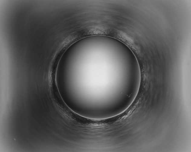 X0000096130250200801181118