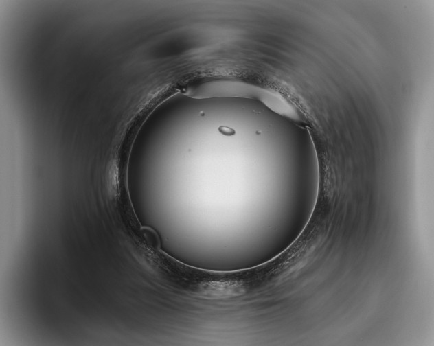 X0000096130251200801181118