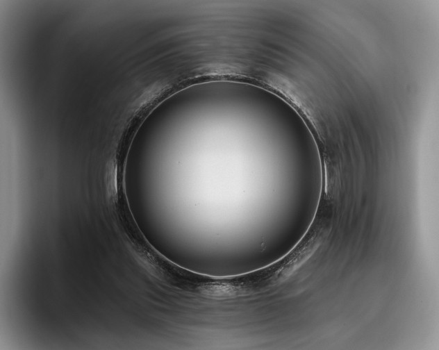 X0000096130253200801181118